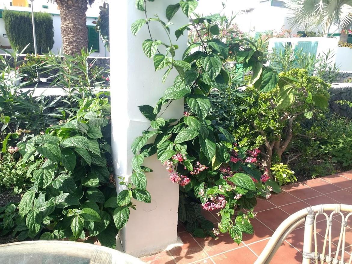 Villa Casa Maracuya Costa Teguise Exterior foto