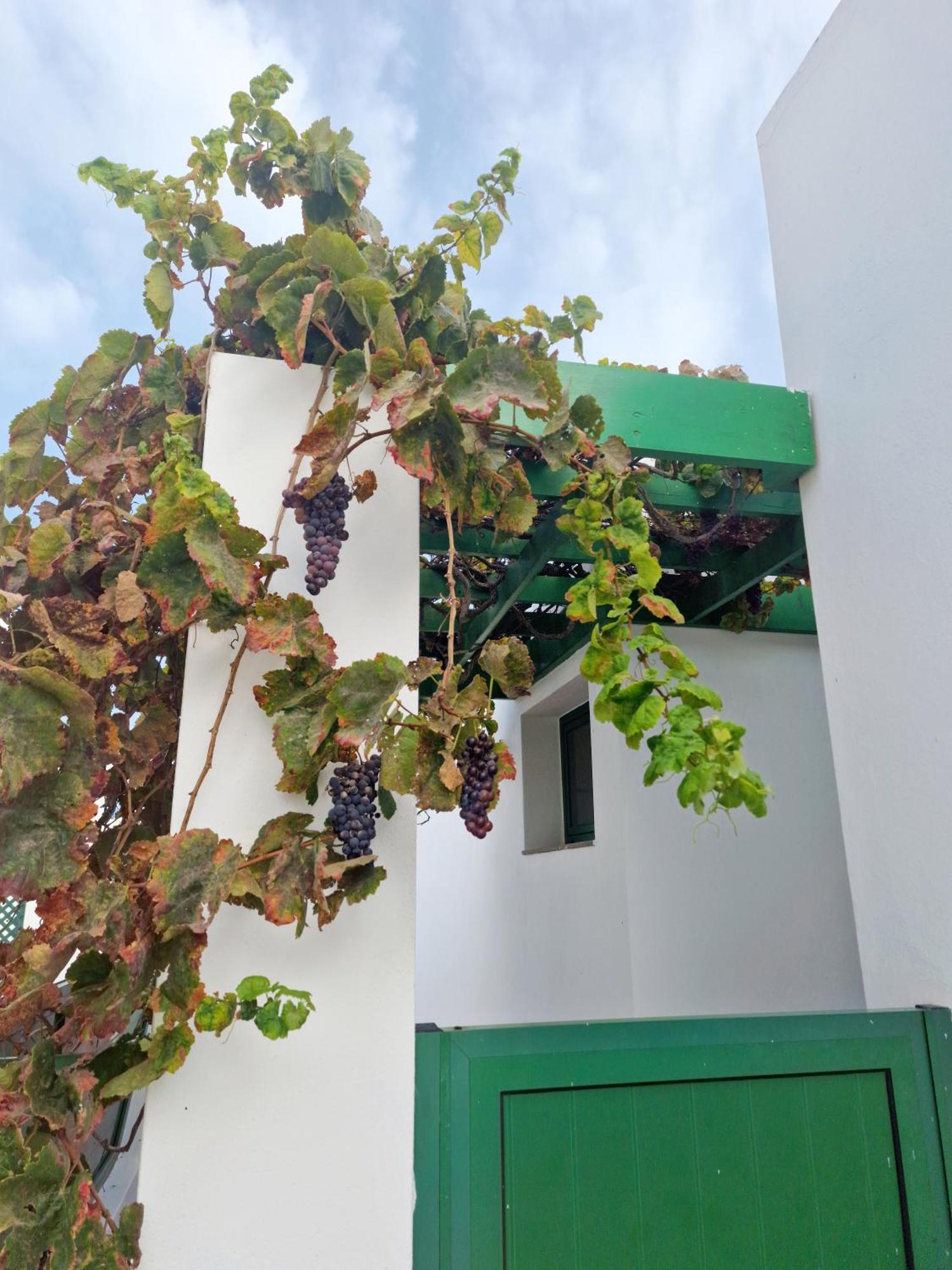 Villa Casa Maracuya Costa Teguise Exterior foto